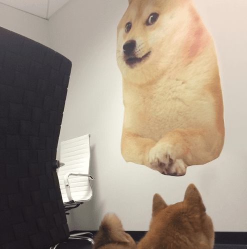 Shiba Inu cutout in Robinhood's Do Only Good Everyday conference room