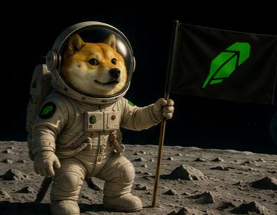 doge meme